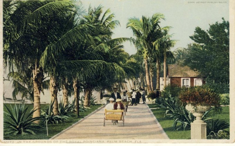 Early Palm Beach, Florida/FL Postcard, Royal Poinciana