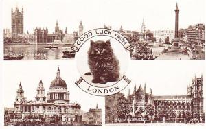 UK  Good Luck From London with Black Cat