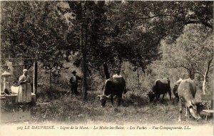 CPA Ligne de la Mure - La Motte-les-Bains - Les Vaches FRANCE (962440)