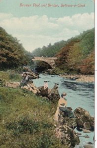 Wales Betts-y-Coed Beaver Pool and Bridge