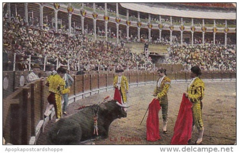 Corrida Bull Fight La Puntilla