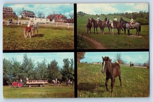 1960 Woodbourne New York Postcard Haywire Ranch  Farm Vacation Horse Multiview