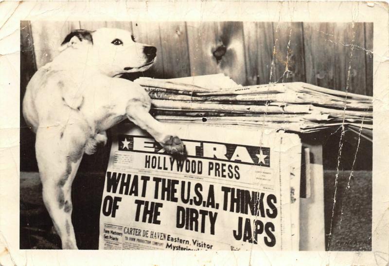 F37/ Interesting Real Photograph Non-Postcard Photo Dog Pee Propaganda WWII