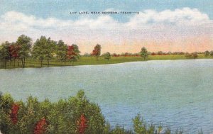 Postcard Loy Lake Near Denison Texas