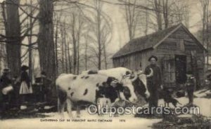 Gathering Sap in Vermont Farming Unused close to perfect corners, light wear ...