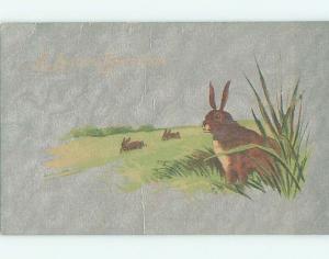 Unused Divided-Back easter CUTE BROWN BUNNY RABBIT IN THE GRASS r2866