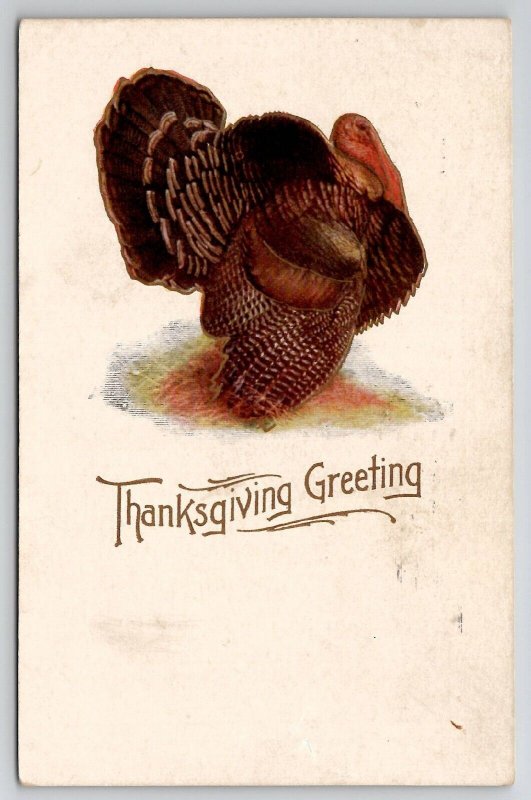 Thanksgiving Greetings Turkey Embossed Gilded Postcard K28