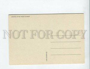 3141648 CHESS Artist Loek BOSMAN Old postcard