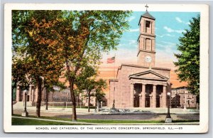 Springfield Illinois~School & Cathedral Immaculate Conception~Vintage Postcard