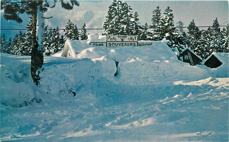 Mammoth Lake California Winter Wilson's Restaurant Mono 1960s Postcard 21-10407