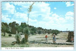 CITY OF ROCKS STATE PARK near Deming, New Mexico NM c1970s ~ 4x6 Postcard*