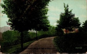 Connecticut New Britain Scene In Walnut Hill Park 1913