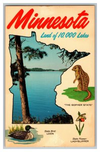 Postcard MN Minnesota Land Of 10,000 Lakes Vintage Standard Multi View Card  