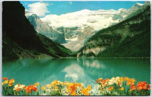 VINTAGE POSTCARD VIEW OF THE POPPIES AT LAKE LOUISE ALBERTA CANADA