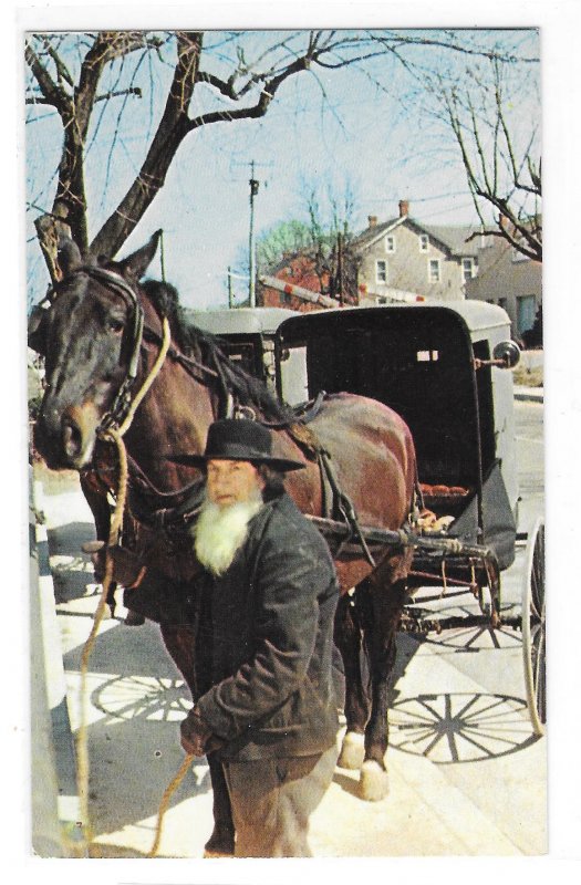 Amish Bishop Horse and Buggy Intercourse Pennsylvania Dutch Country Postcard