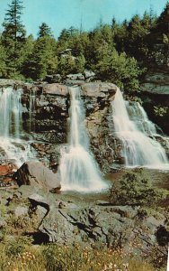 Vintage Postcard Blackwater Falls State Park Beauty Spot Vacation West Virginia