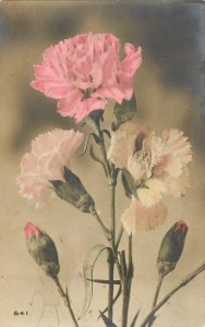 Flowers & plants greetings postcard Belgium flower 1911