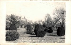 Harper KS City Park Real Photo Postcard