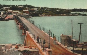 Bermuda Walford Island Bridge Vintage Postcard 03.72