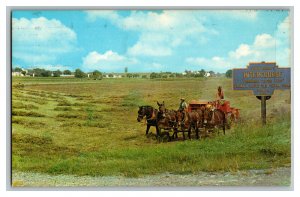 1978 Pennsylvania Dutch Country Intercourse PA Vintage Standard View Postcard