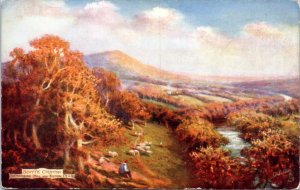 Postcard Scotland Tucks 7015 Scott's Country - Bemerside Hill and Eildon Peaks