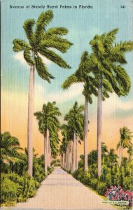 Ave Stately Royal Palms Florida FL Linen Postcard UNP VTG Tichnor Unused Vintage 