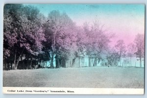 Annandale Minnesota MN Postcard Cedar Lake Gordon's Exterior Field c1910 Vintage