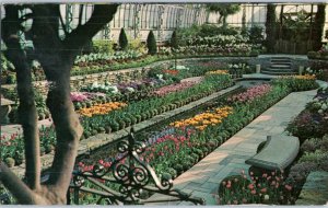 Como Park Conservatory St Paul Minnesota Postcard Posted 1967