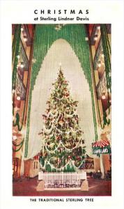 3901  Ohio Cleveland  Christmas Tree at Sterling Linder Davis