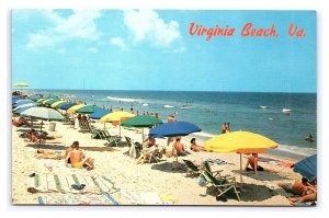 Virginia Beach Virginia Postcard Sunbathing Swimming Umbrellas