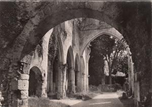 BF26463 jumieges s m ruines de l abbaye   france   front/back image