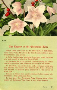 The Legend of the Christmas Rose