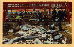 VINTAGE POSTCARD THE DAILY DEEP SEA NET HAUL MILLION DOLLAR PIER ATLANTIC CITY