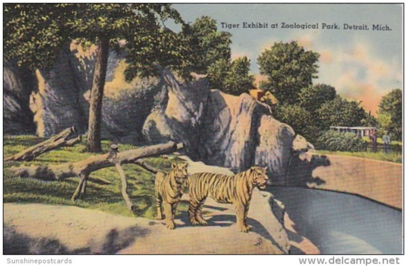 Michigan Detroit Tiger Exhibit At Zoological Park 1940