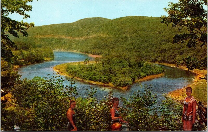 View From Mill Rift Pennsylvania PA Hawks Nest Rd Island Delaware River Postcard 