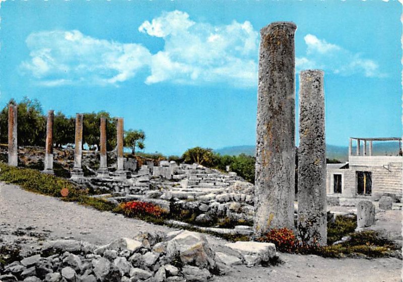 Sabastia Roman's Ruins Israel Unused 