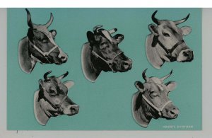 Hoard's Dairyman - Cows