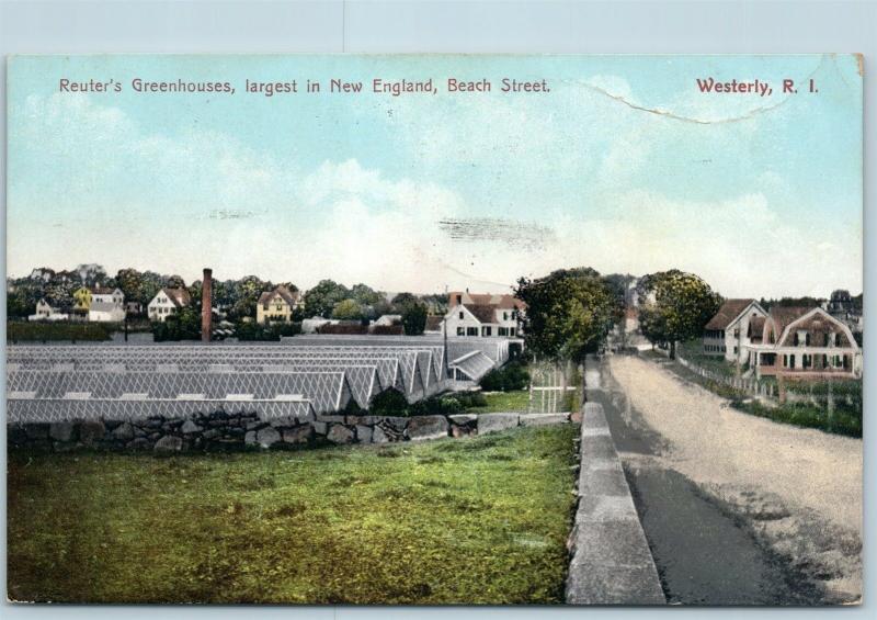 Postcard RI Westerly Reuter's Greenhouses Largest in New England Beach Street Q4