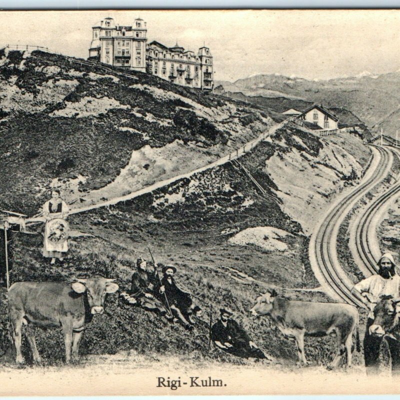 c1910s Mount Rigi, Switzerland Rigi Kulm Postcard Swiss Mt Peak Cows Folk A40