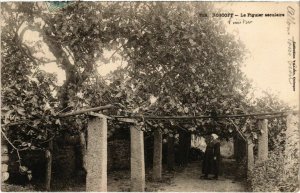 CPA Roscoff- Le Figuier Seculaire FRANCE (1026213)