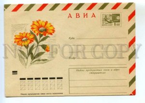 486626 USSR 1970 year Kolesnikov flowers Arnica Mountain postal COVER