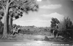 White Springs Florida~Stephen Foster Museum~Camptown Races~Horses~1951 RPPC