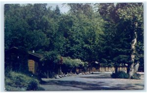 BIG SUR, CA California~ Roadside RIVER INN MOTEL c1950s Monterey County Postcard