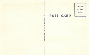 Vintage Postcard Trapper's Cache Alaska AK C. P. Johnston Co. Pub.