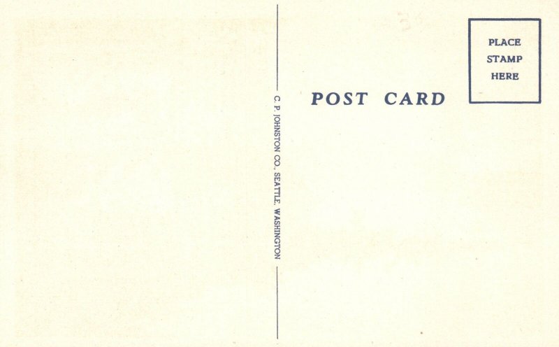 Vintage Postcard Trapper's Cache Alaska AK C. P. Johnston Co. Pub.