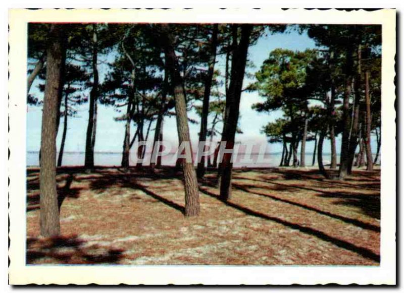 Modern Postcard The Pula on the sea Meller Beach