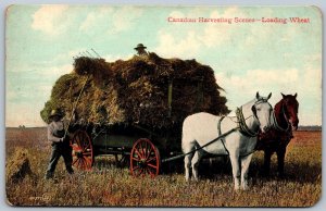 Postcard c1905 Canadian Harvesting Scenes Loading Wheat Horse Pulled Wagon