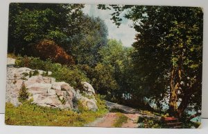 Hagerstown Md 1909 Lovers Path Walt's Park Williamsport Downsville Postcard A1