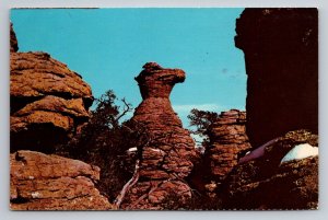 Camel's head Chiricahua National Monument Wilcox Arizona Posted 1982