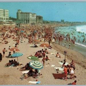 c1950s Santa Monica, CA Ocean Park Beach Pier Crowd Swimming Chrome Photo A175